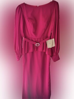 LanTing Bridal Fuchsia Formal Gown NWT | Size 4